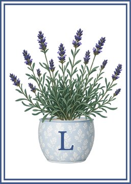 L